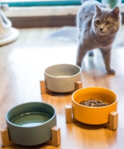 Ceramic Elevated Bowl for Pets