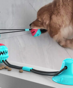 Biting Toy for Dogs