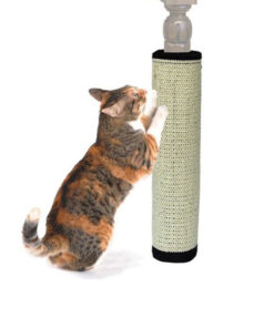 Natural Sisal Scratcher for Cats