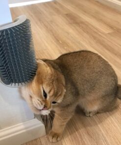 Cats Self-Grooming Corner Comb