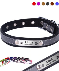 Personalized Reflective Dog Collar