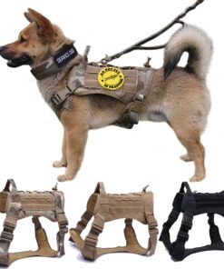 Dog Harness and Leash Set With Nylon Handle