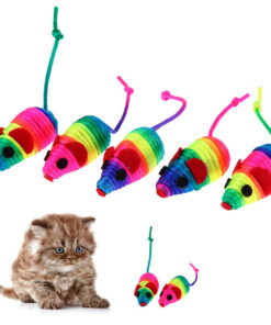 Colorful Toy Mouse Set (5 pcs)
